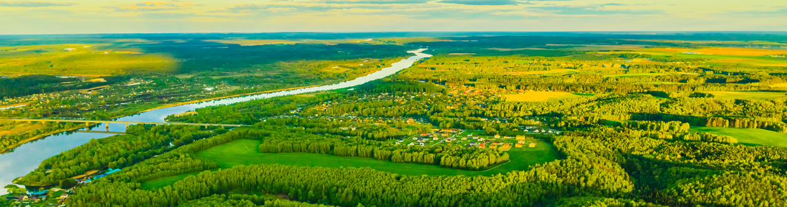 river flowing through the lush green forest